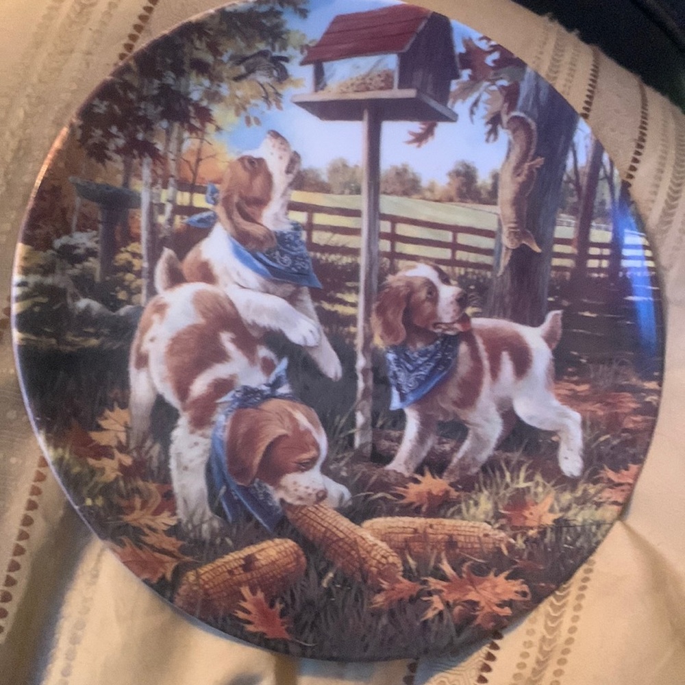 Unexpected guest plate in the little bandits issue . Like new . 6”